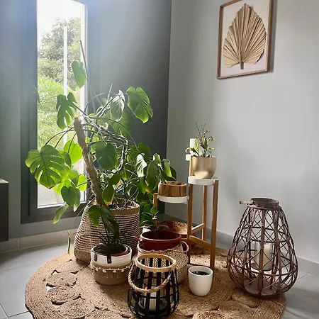 Le Cocon Du Du Sud Villa